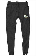 Load image into Gallery viewer, CS-25 premium joggers