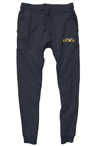 CS Academy premium joggers