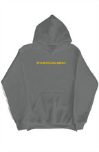 Load image into Gallery viewer, CS Team Retro24 pullover hoody