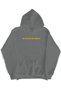 CS Team Retro24 pullover hoody