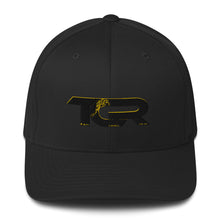 Load image into Gallery viewer, TCR BG Structured Twill Cap